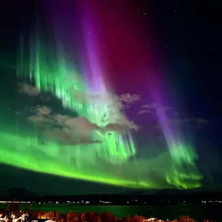 Cosy 2-rooms In The Center Apartment Tromsø